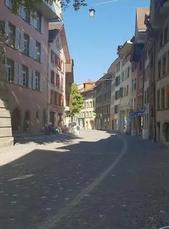Haus De Philosophe Et Compositeur Rousseau * Biel