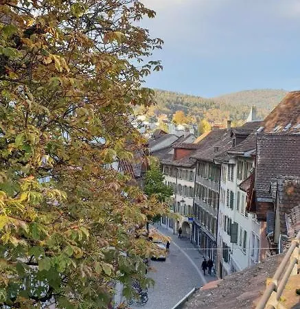 Haus De Philosophe Et Compositeur Rousseau Apartmán Biel